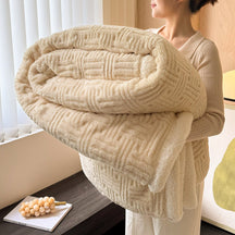 Double Layer Jacquard Warm Blanket