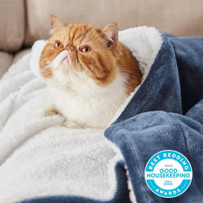 Bedsure Sherpa Fleece Throw Blanket - Fluffy Microfiber Solid Blankets for Bed and Couch Double/Twin Size, Silver Grey, 150x200cm